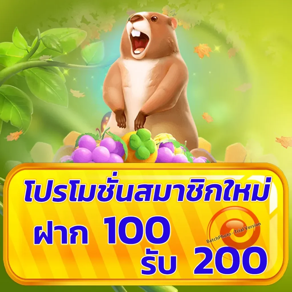 lucky rich แจกบ่อย